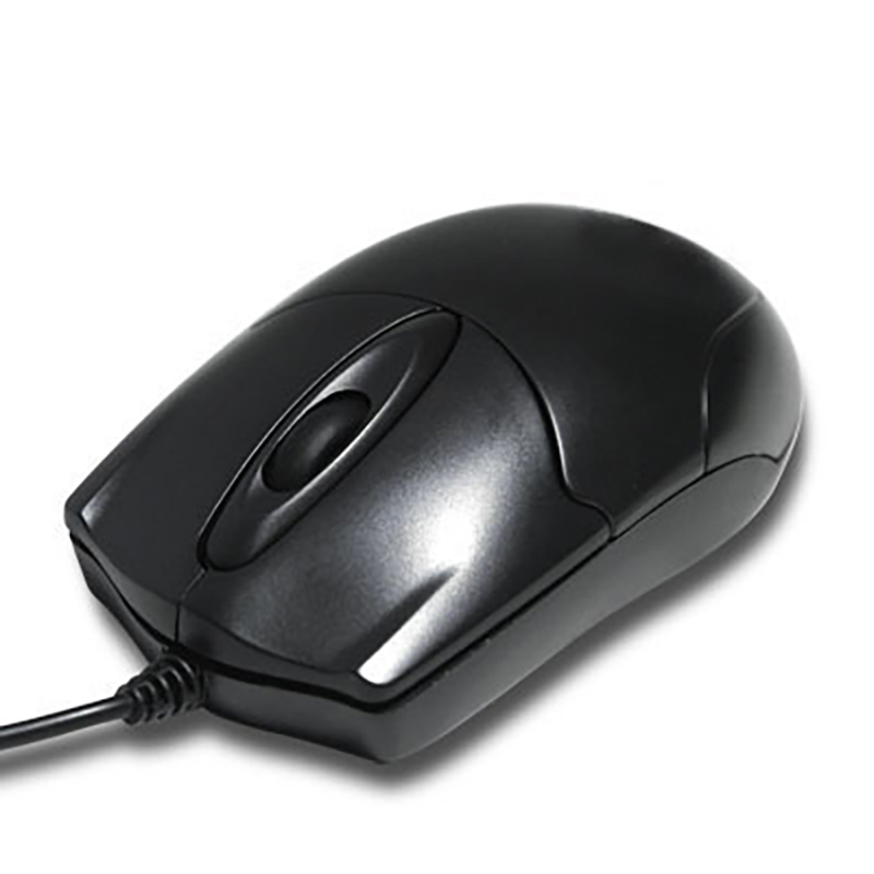 Ű AN-5029 USB 800dpi    콺